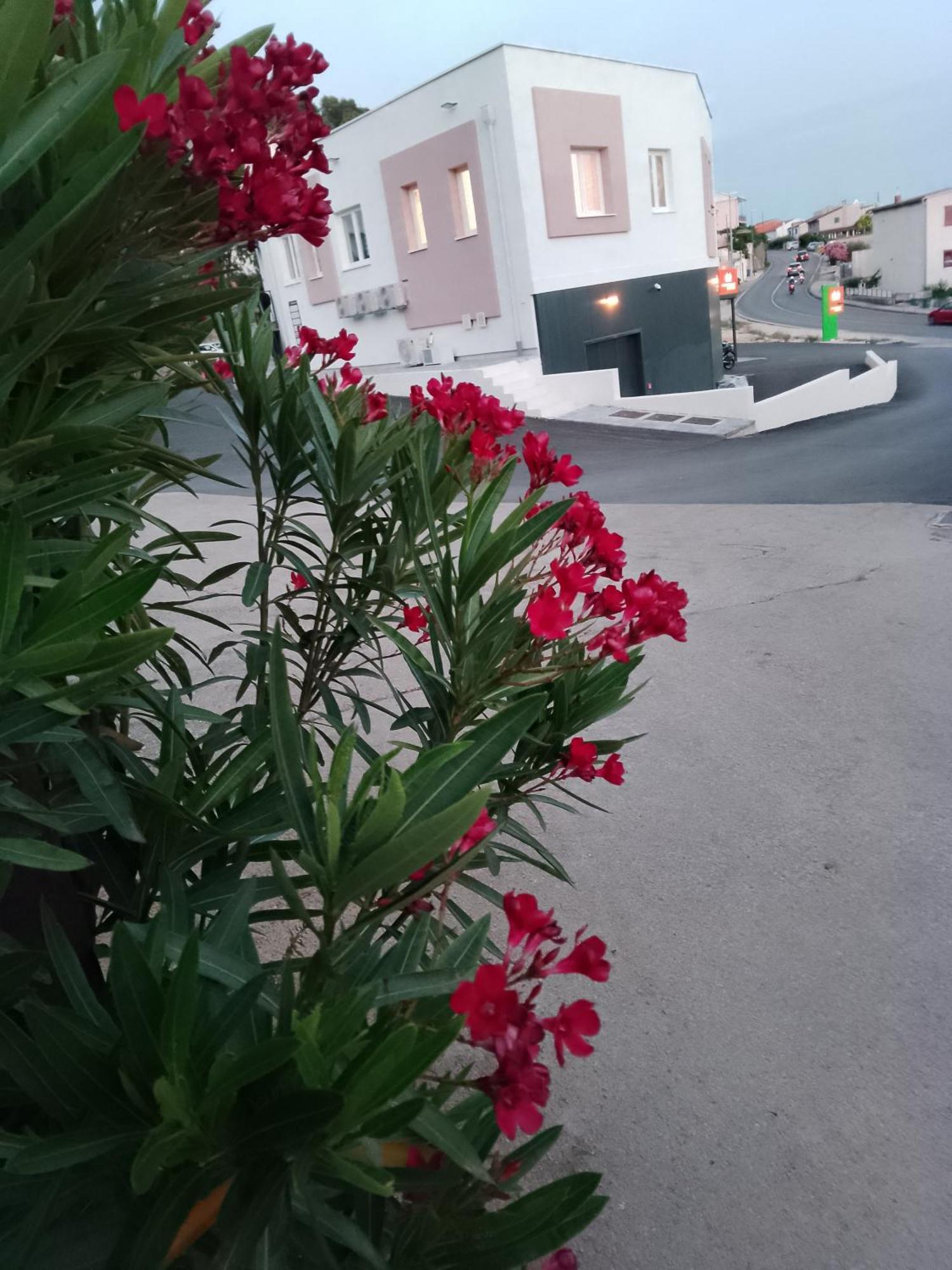 Marin Apartment ชิเบนิก ภายนอก รูปภาพ